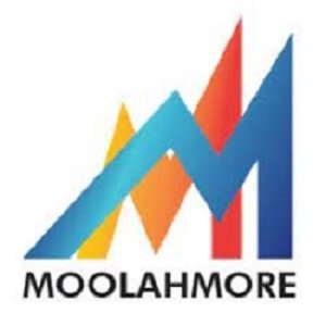 Moolahmore – Cash Flow Management Tool